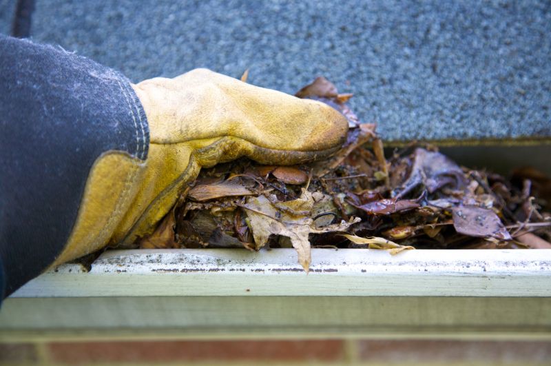 Eavestrough Clearing in Westchester County, NY