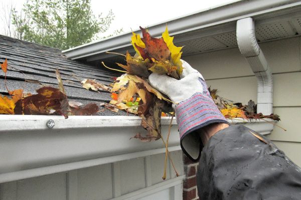 Rain Gutter Clearing Service